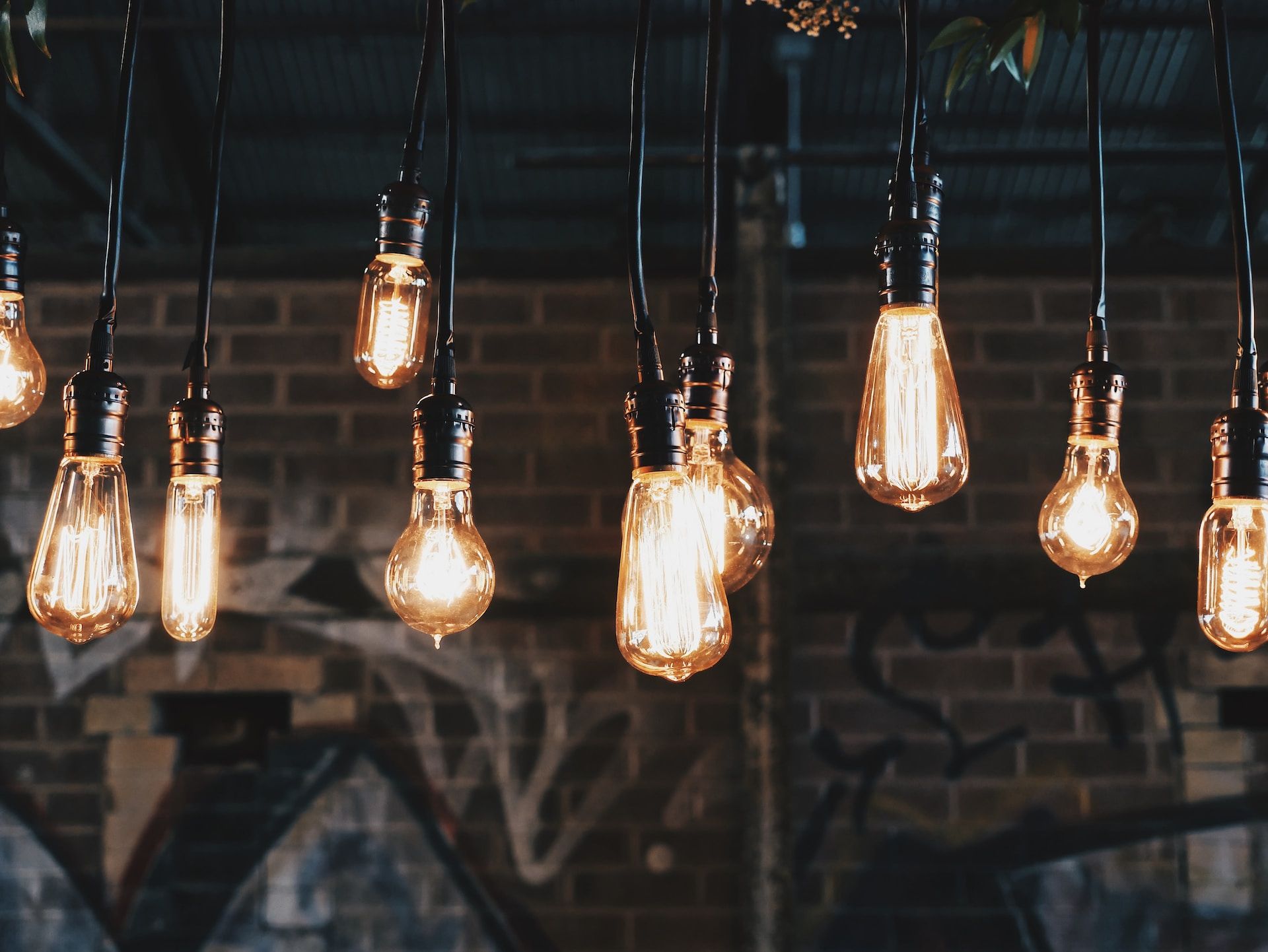 Light bulbs of different shapes hanging on black cables from the ceiling, brick wall with graffiti in the background